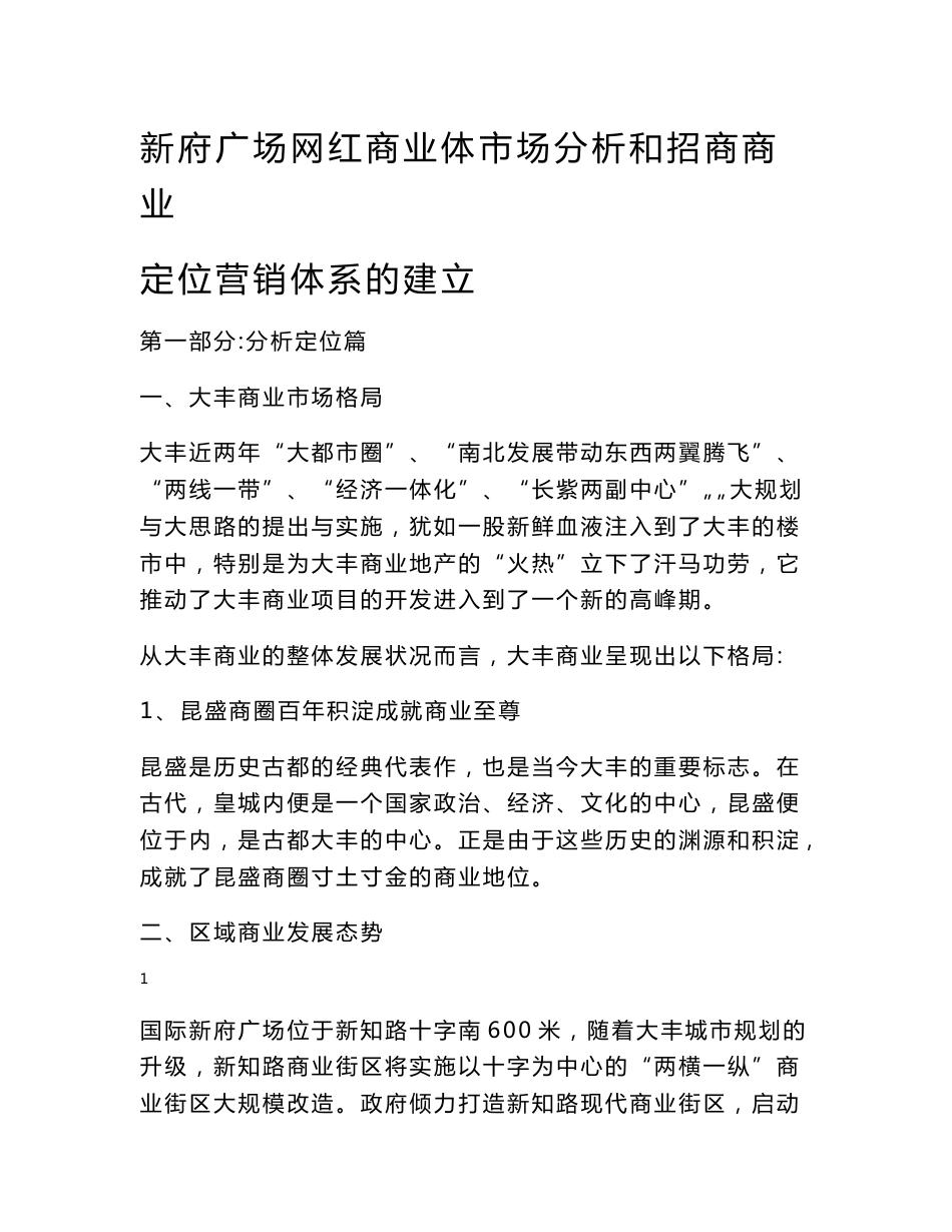 新府广场网红商业体市场分析与招商商业定位营销体系的建立_第1页