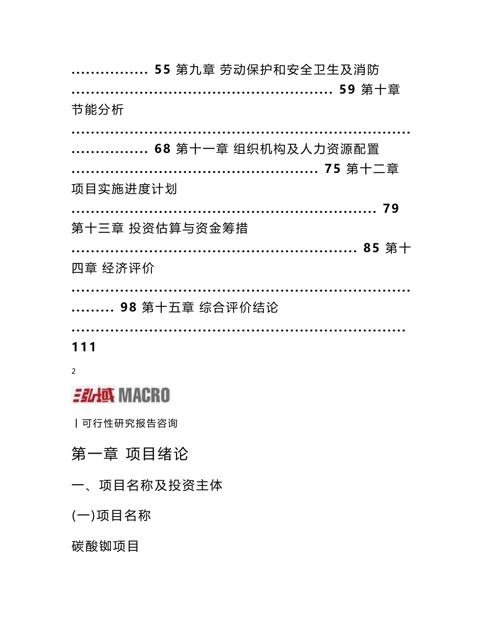 碳酸铷项目可行性研究报告_第2页