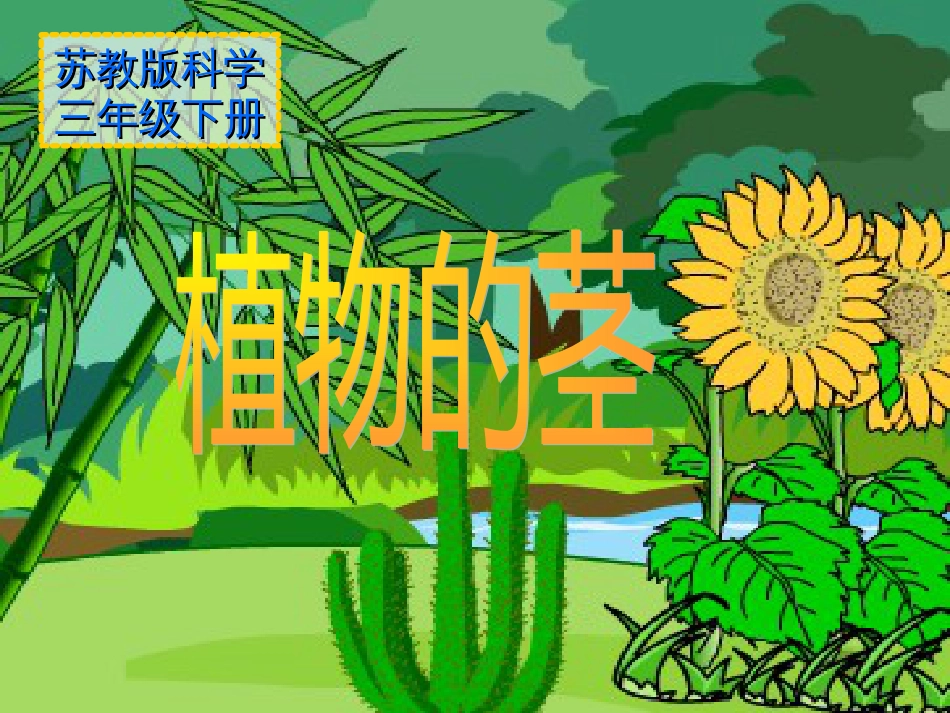 PPT课件植物的茎_第3页