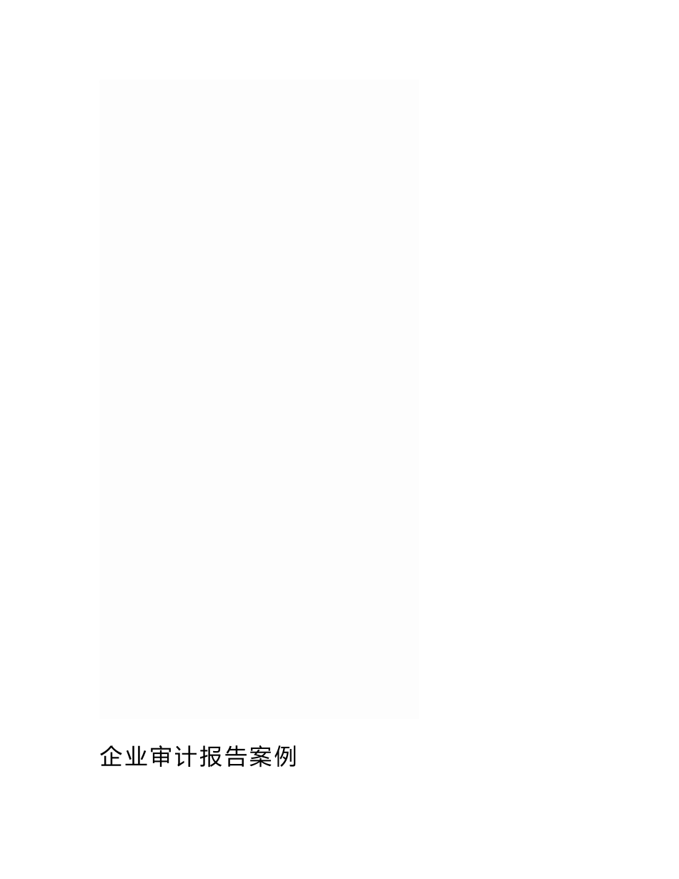 企业审计报告案例_第1页