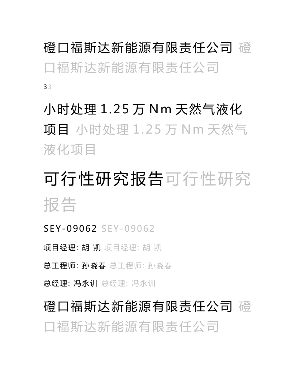 小时处理1.25万Nm3天然气液化项目可行性研究报告_第2页