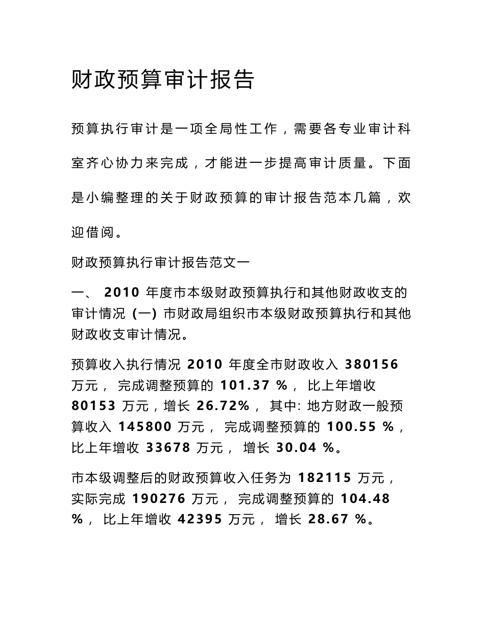 财政预算审计报告_第1页