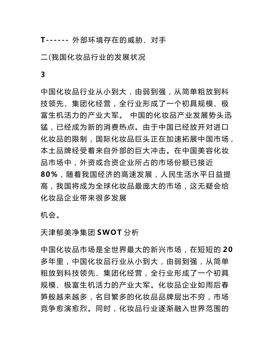 企业swot分析报告_第3页
