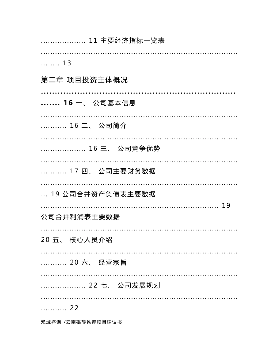 云南磷酸铁锂项目建议书（范文参考）_第2页