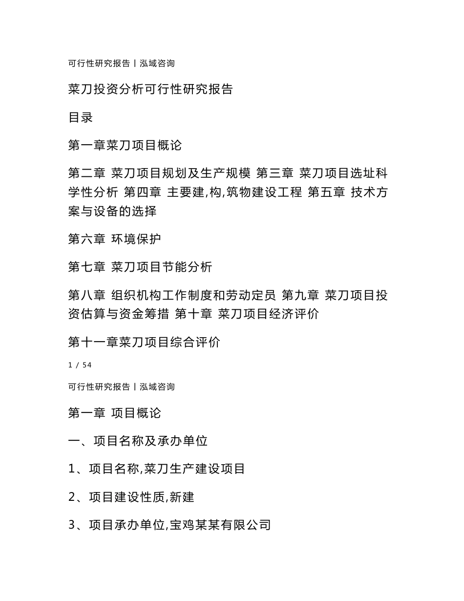 菜刀投资分析可行性研究报告_第1页