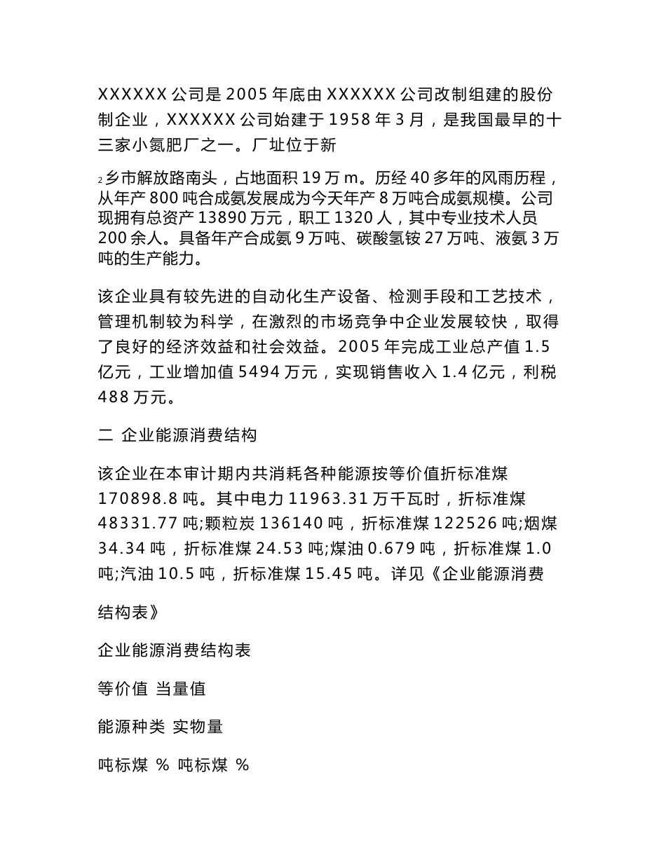 XX公司审计报告_第2页