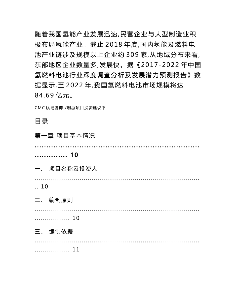 制氢项目投资建议书_模板范文_第2页