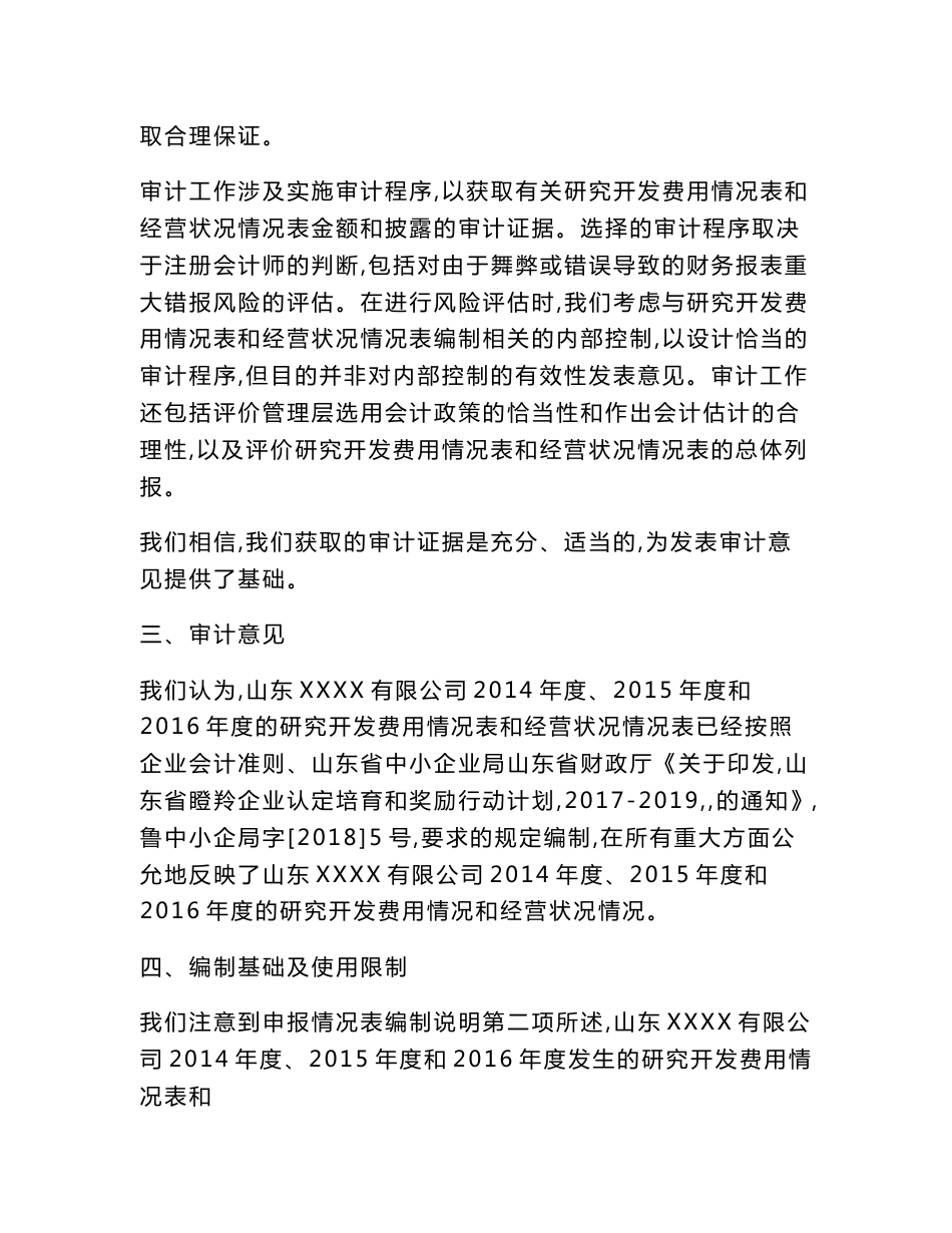 山东省瞪羚企业专项审计报告_第2页