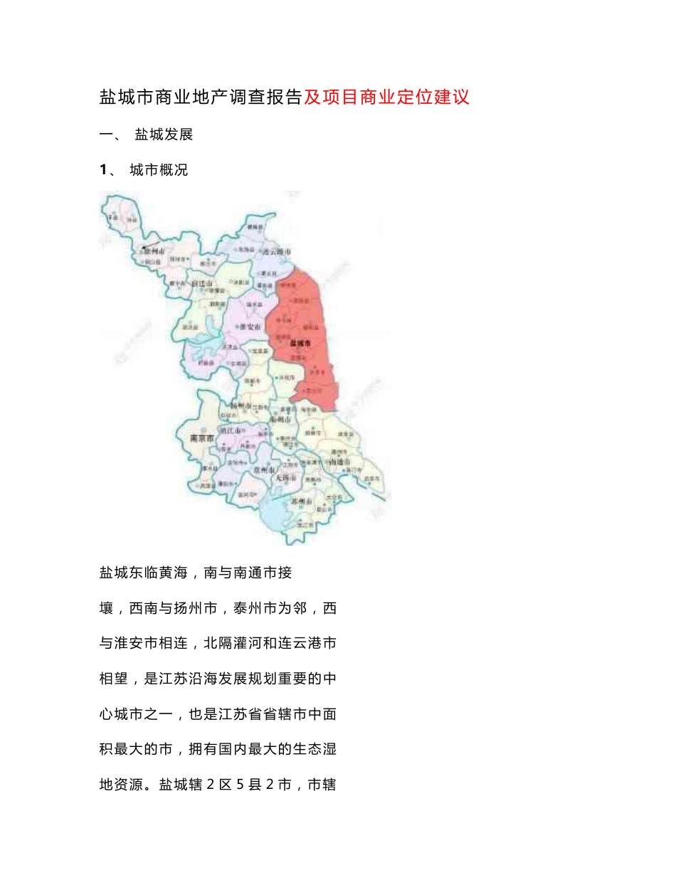 [原创]盐城市商业地产调查报告及项目商业定位建议_第1页