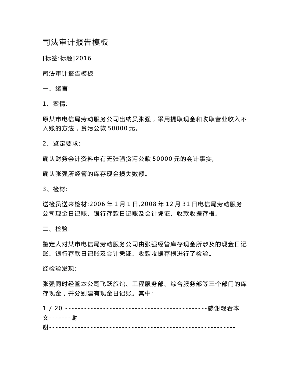 司法审计报告模板.doc_第1页