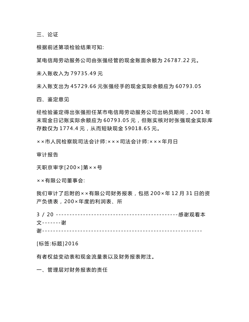 司法审计报告模板.doc_第3页