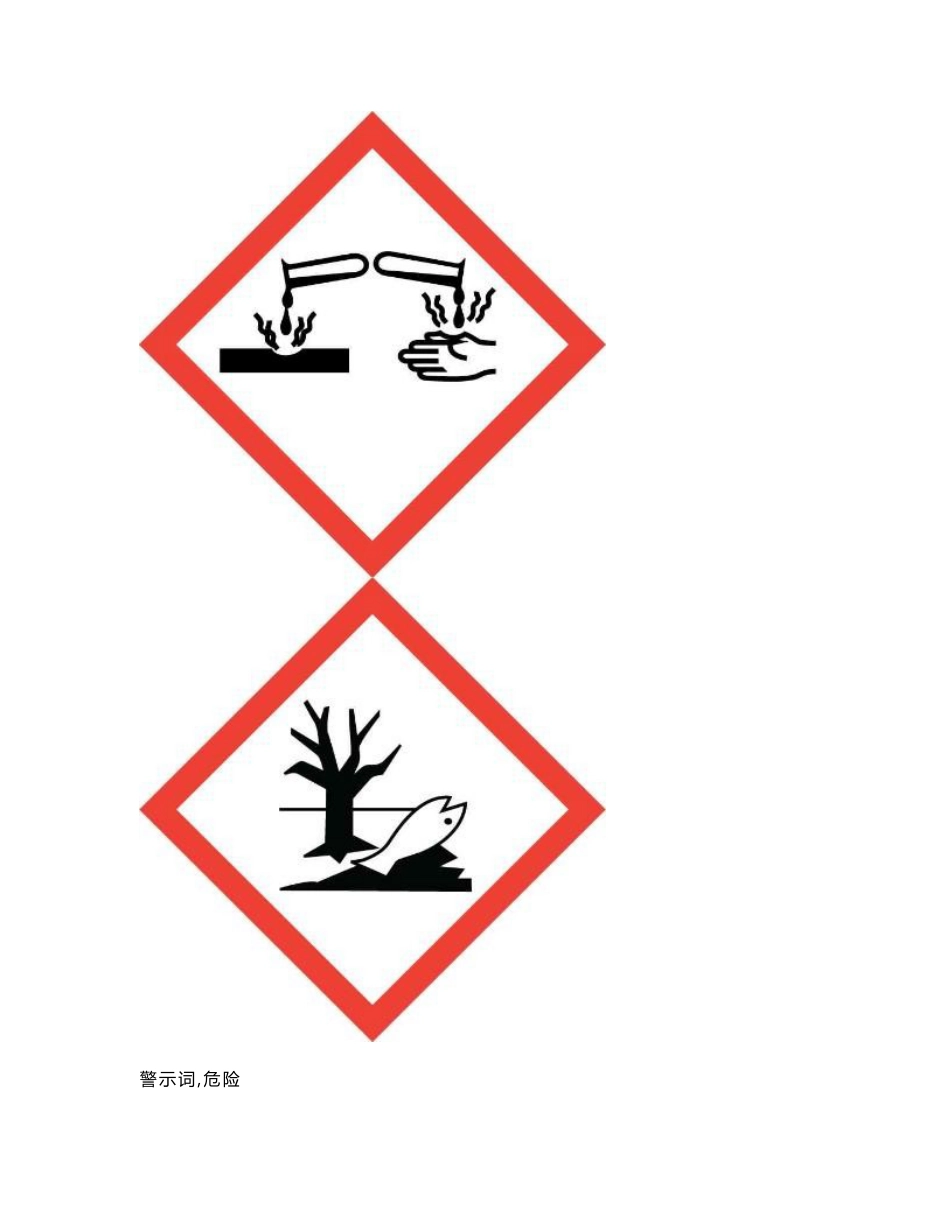 过氧化氢安全核心技术新版说明书_第3页