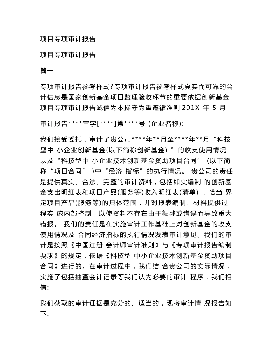 项目专项审计报告_第1页