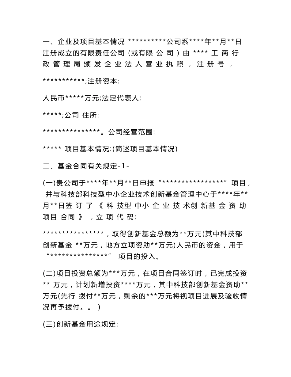项目专项审计报告_第2页