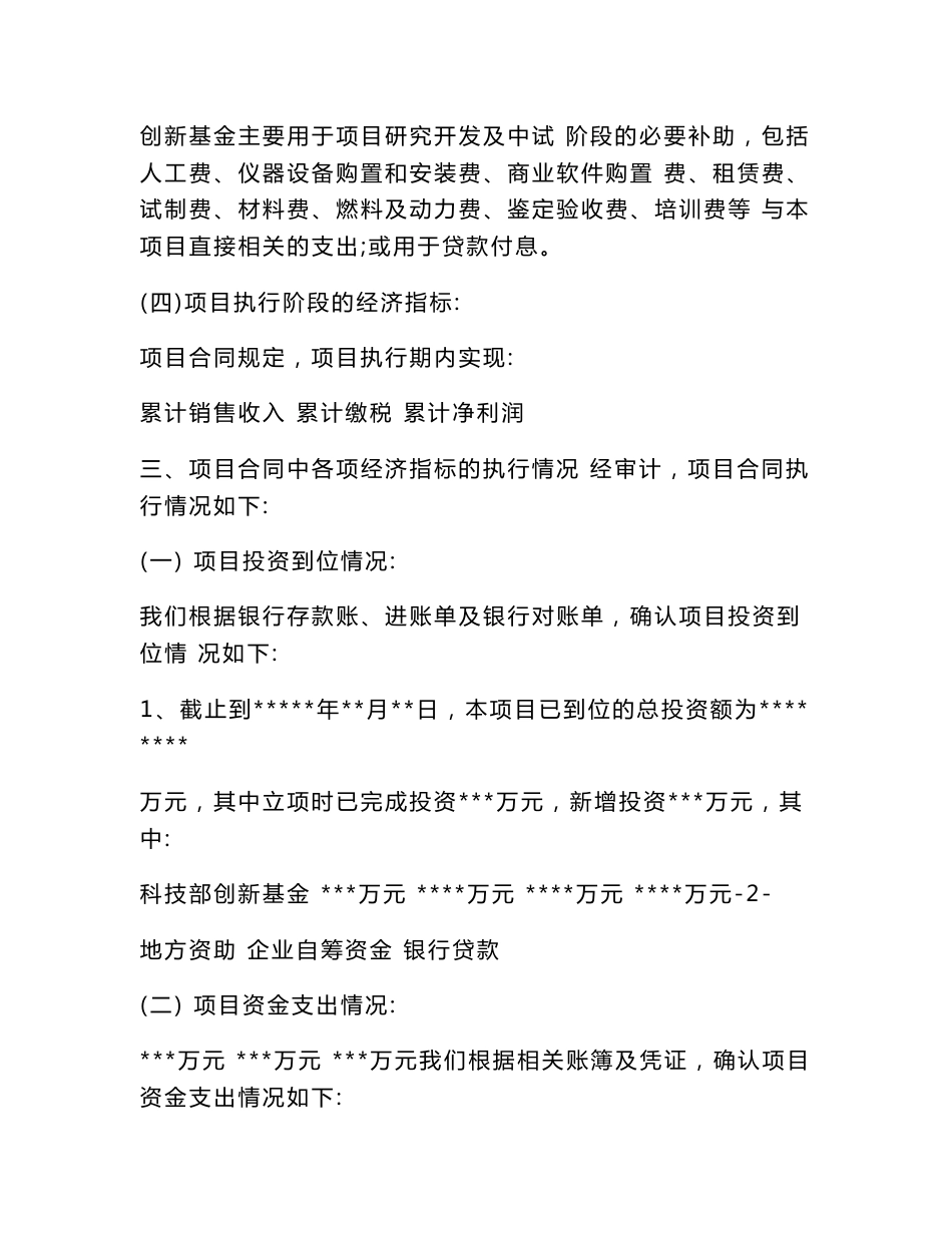 项目专项审计报告_第3页