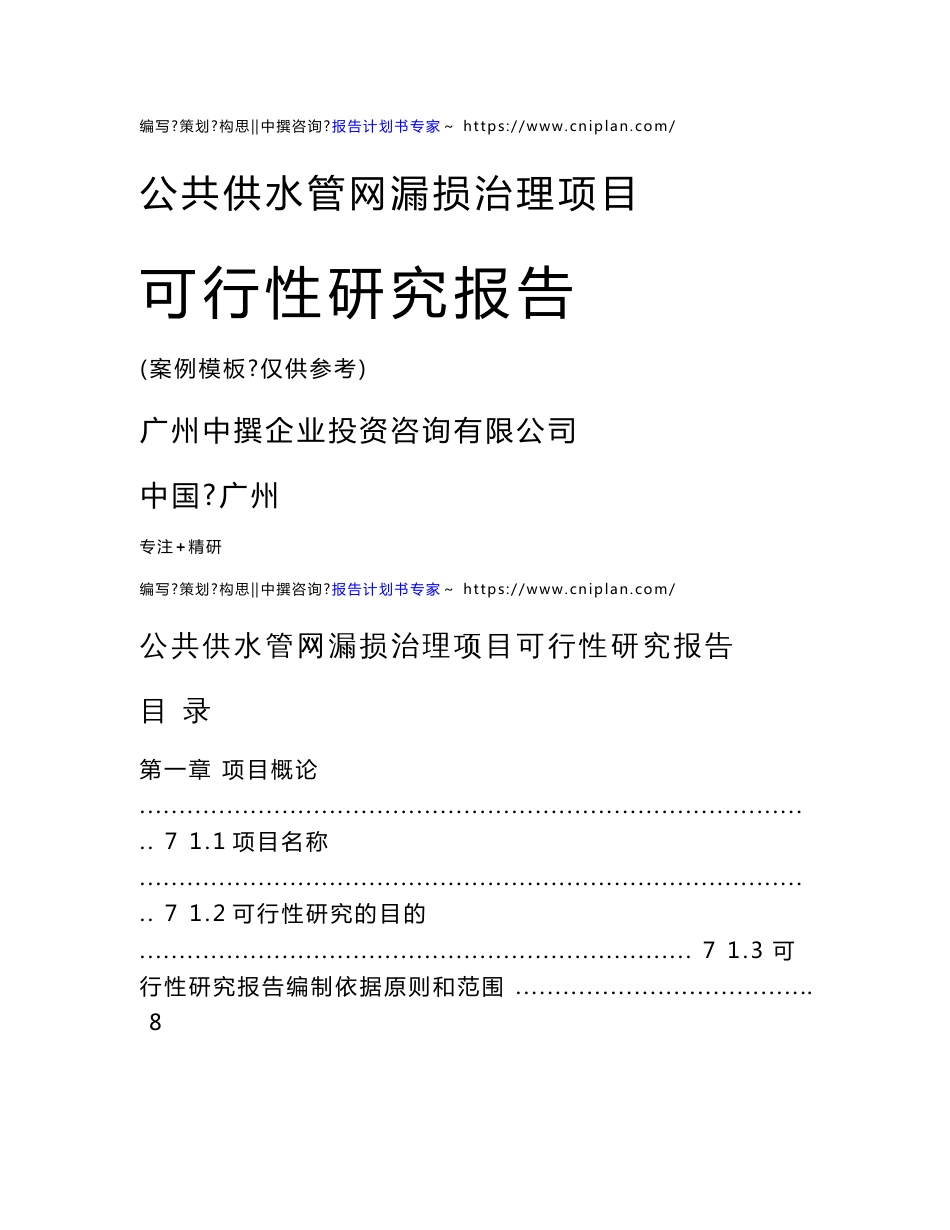 范本案例-公共供水管网漏损治理项目可行性报告_第1页