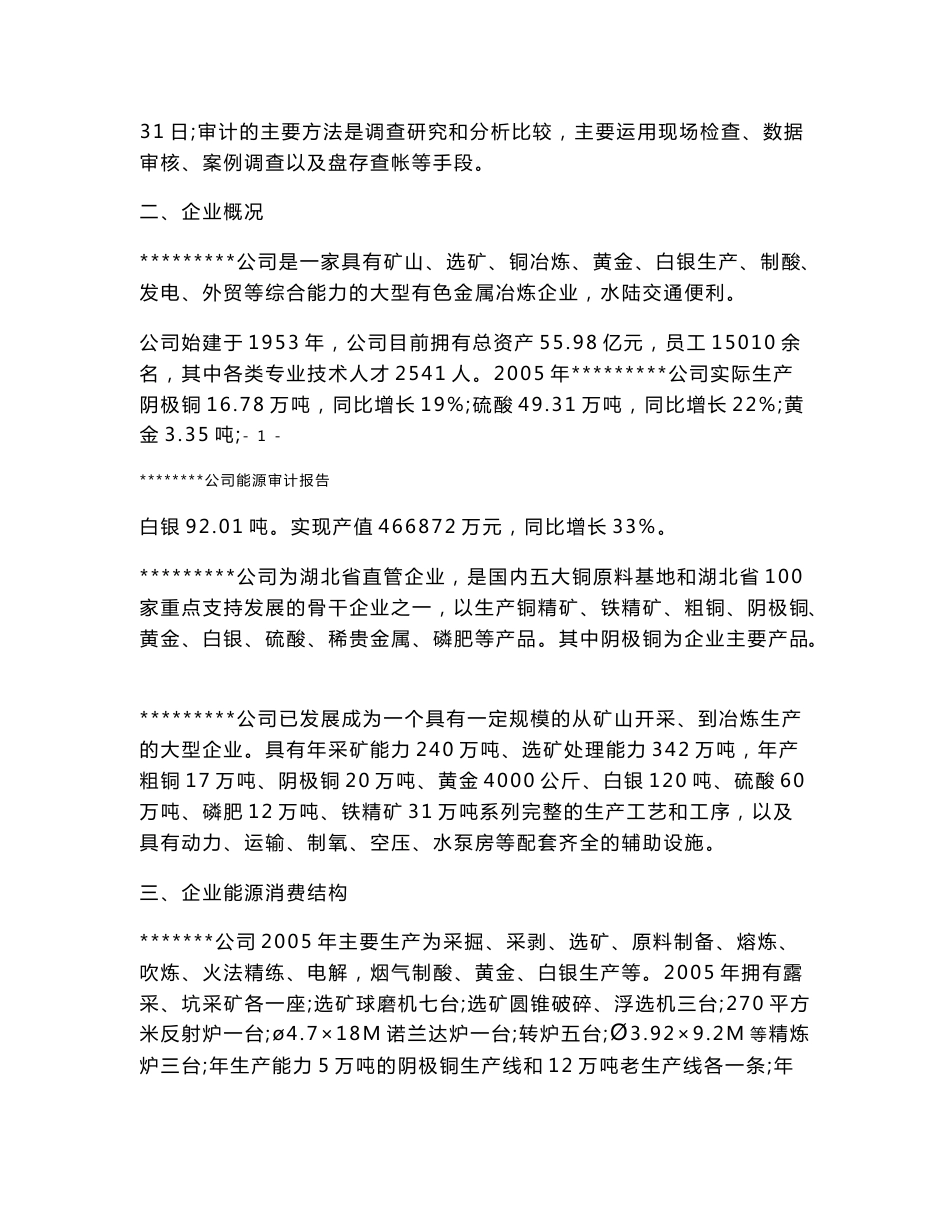 铜厂能源审计案例_第2页