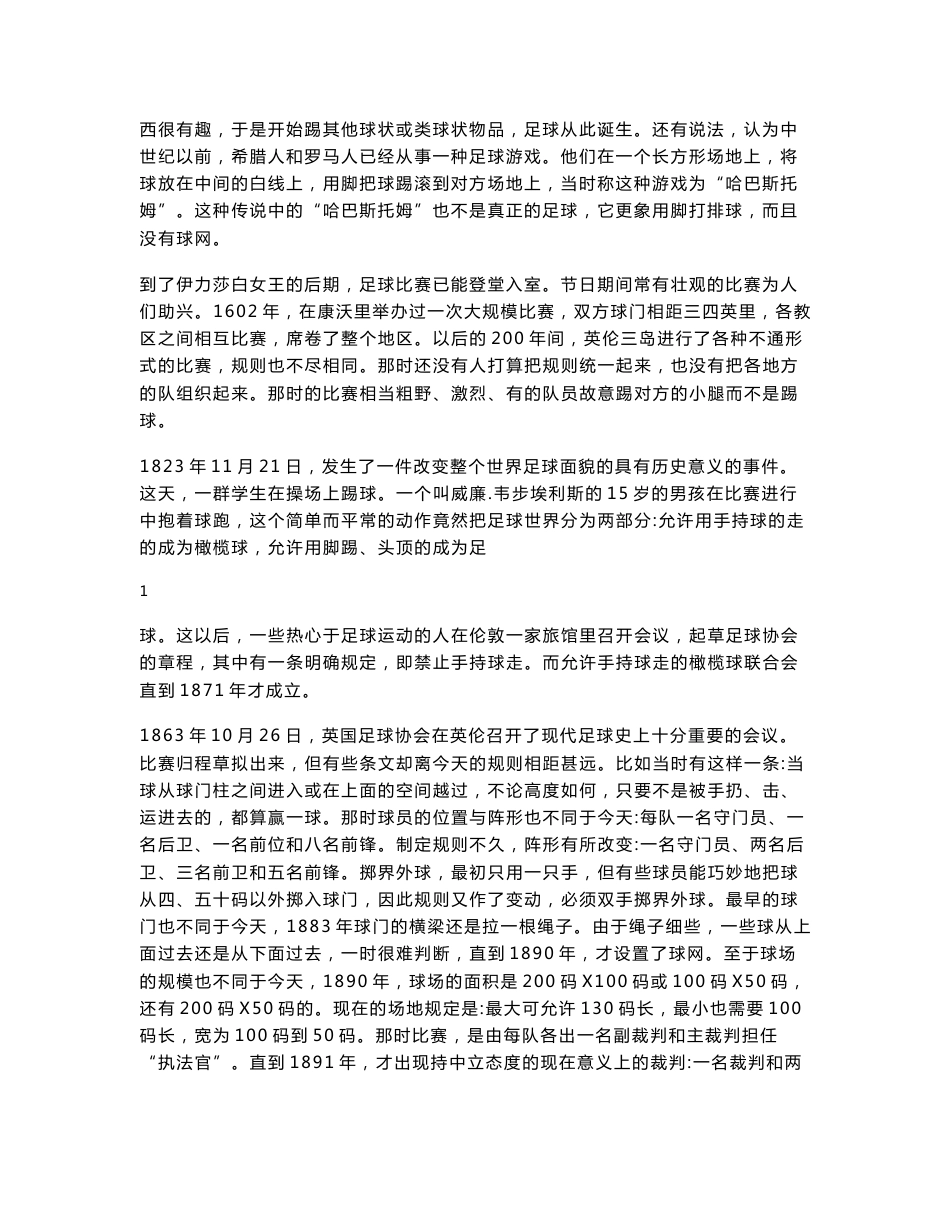 大学体育教案-----足球理论_第2页