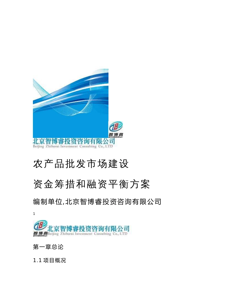 农产品批发市场建设资金筹措和融资平衡方案(编制模板）_第1页