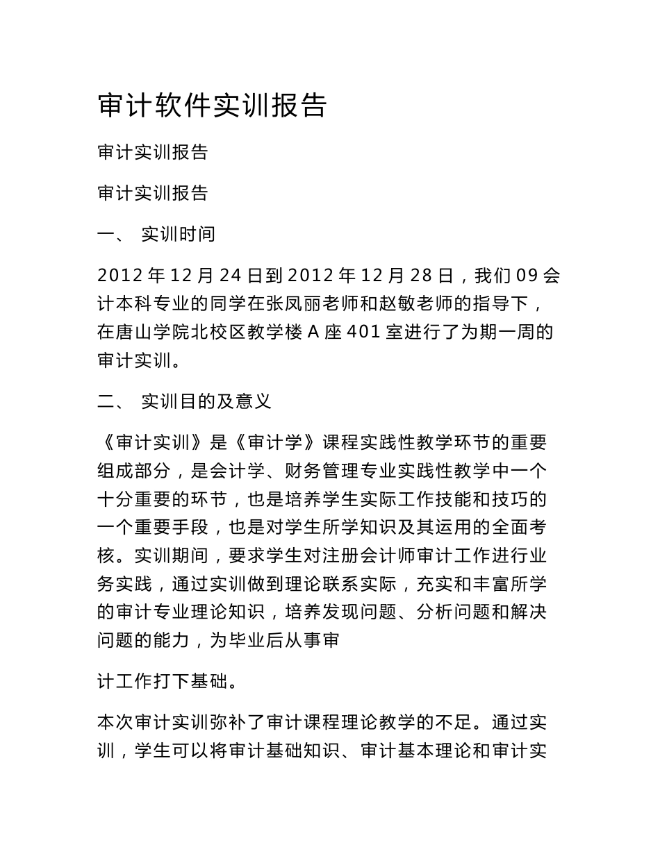 审计软件实训报告_第1页