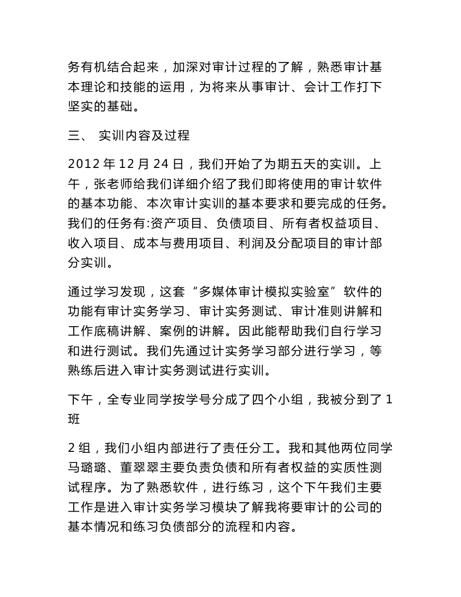 审计软件实训报告_第2页