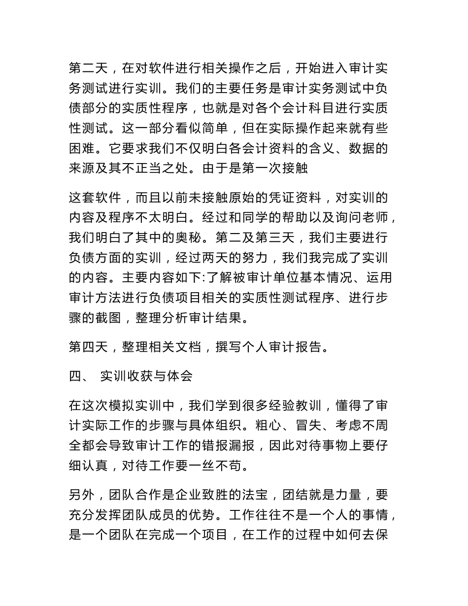 审计软件实训报告_第3页