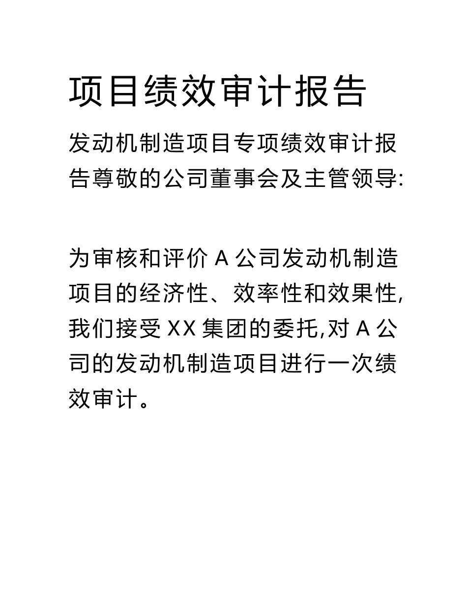 项目绩效审计报告.docx_第1页