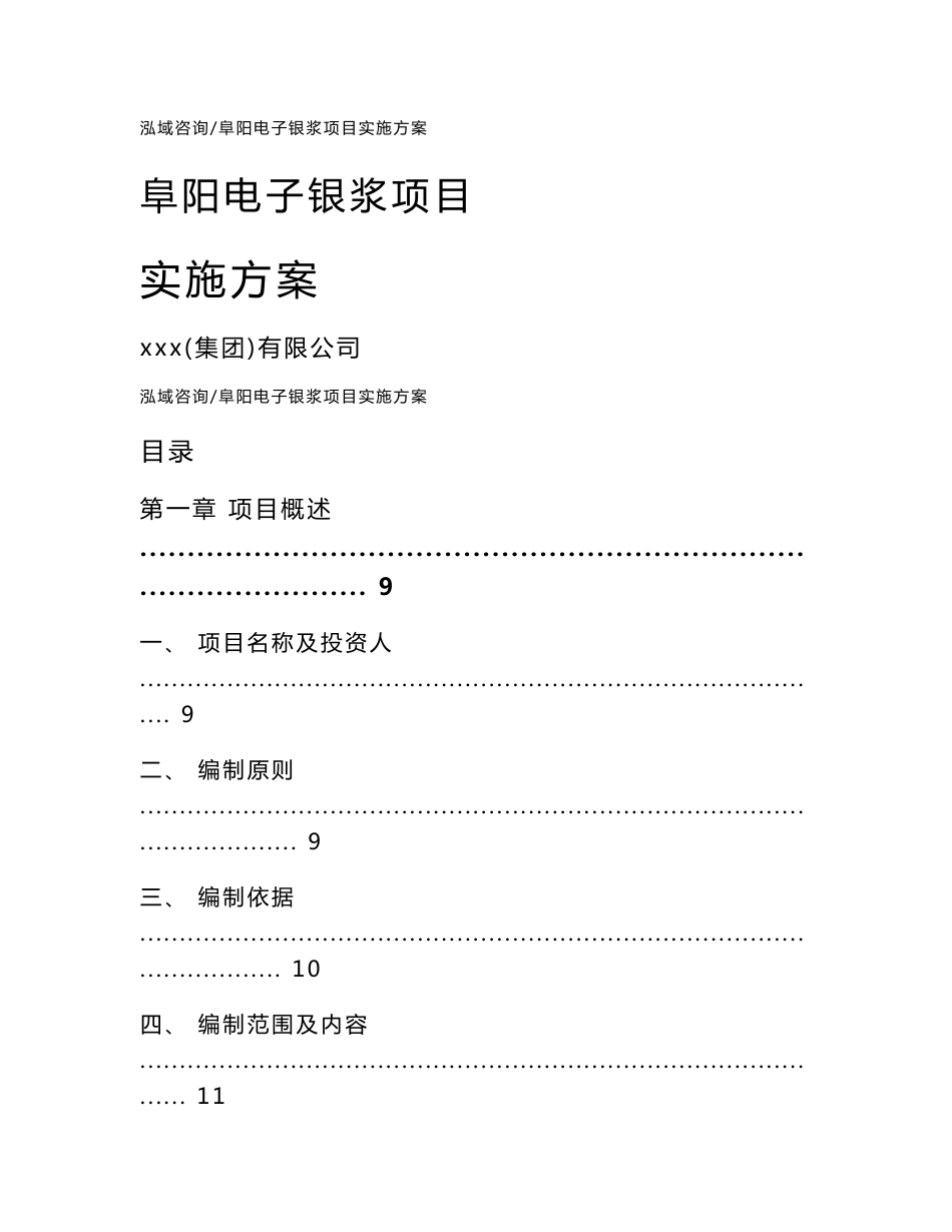 阜阳电子银浆项目实施方案参考范文_第1页
