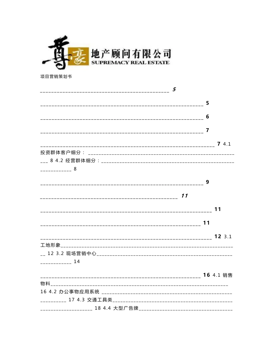 娄底项目营销策划书_第1页