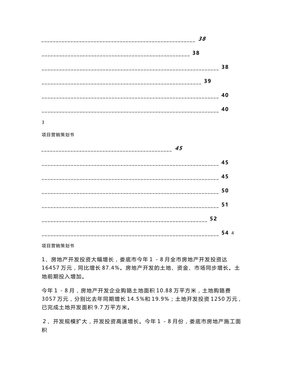 娄底项目营销策划书_第3页