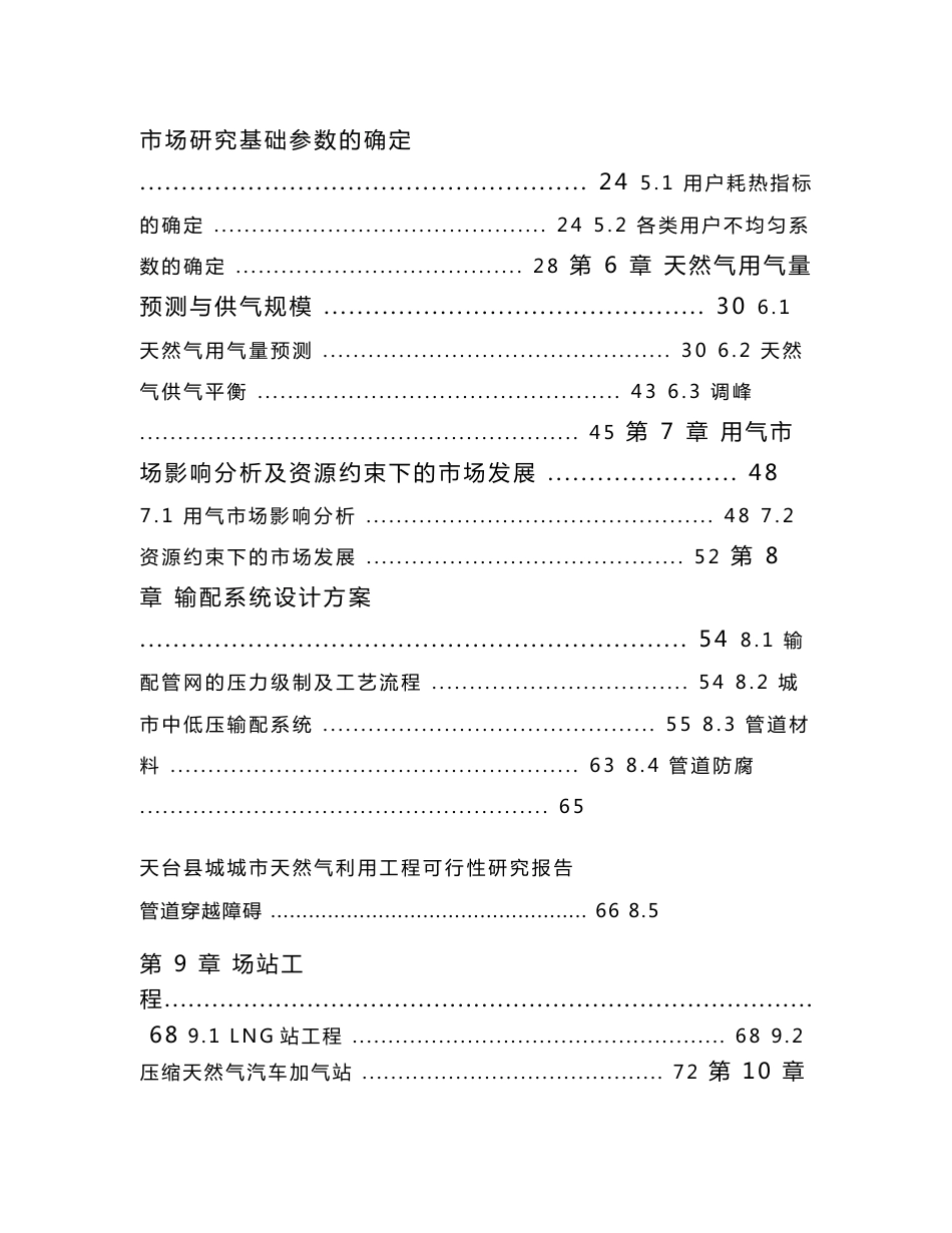 天台县城城市天然气利用工程可行性研究报告_第2页