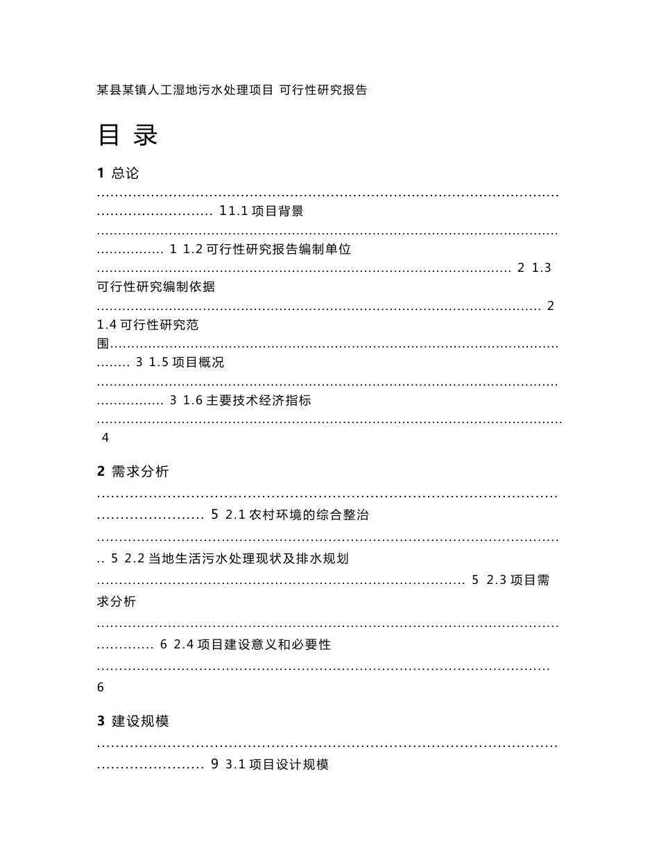 山东某乡镇人工湿地污水处理项目可行性研究报告_第1页