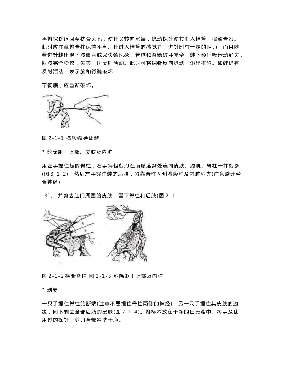 生理学实验报告_第2页