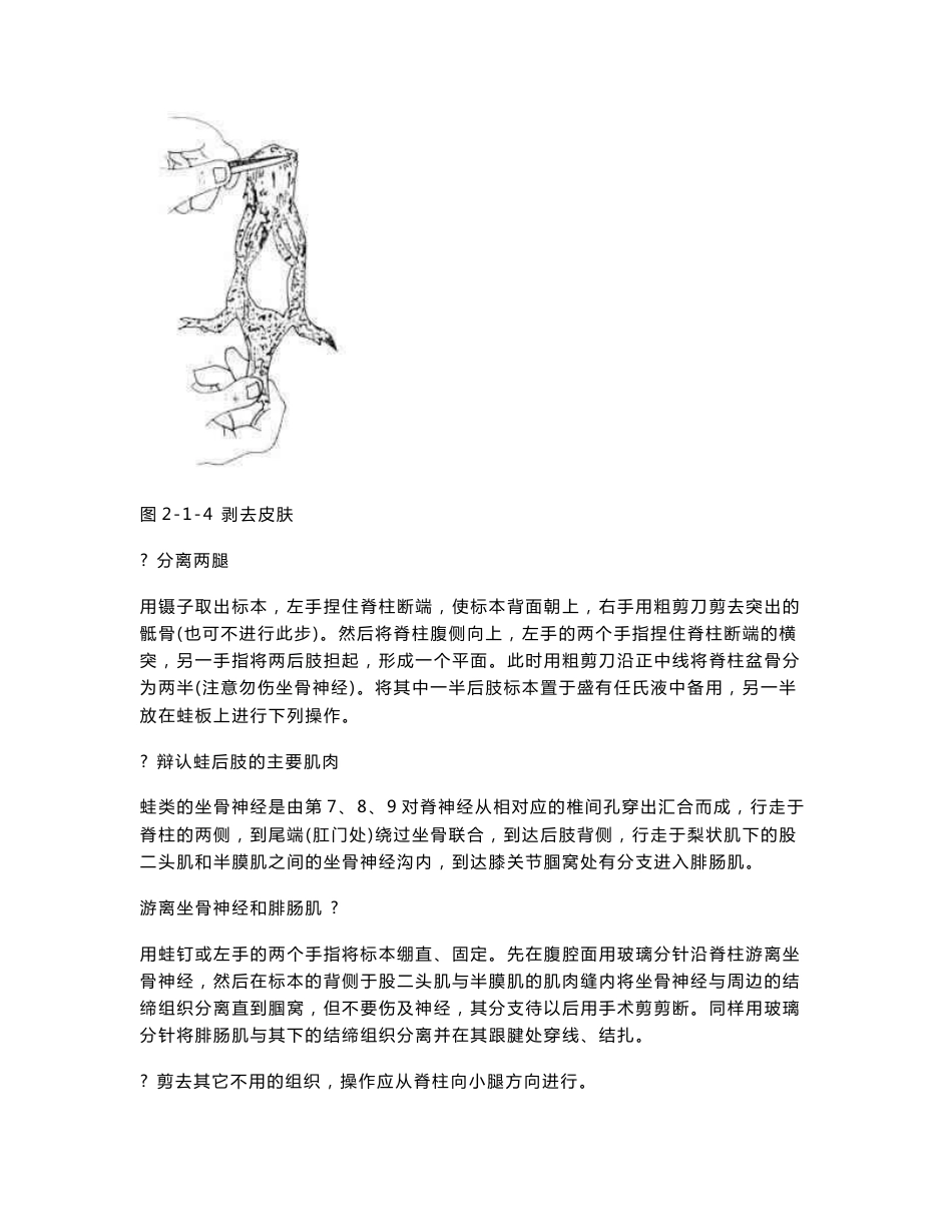 生理学实验报告_第3页