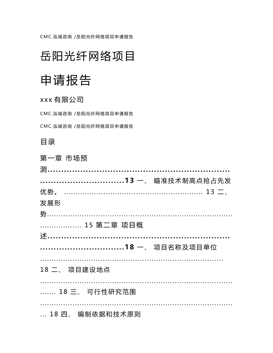 岳阳光纤网络项目申请报告_范文模板_第1页