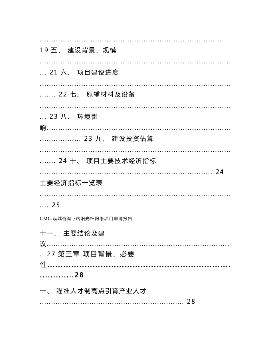 岳阳光纤网络项目申请报告_范文模板_第2页