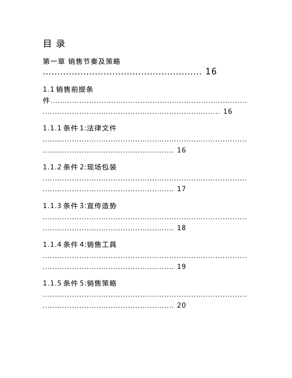大型商业地产投资建议书之推广_第1页