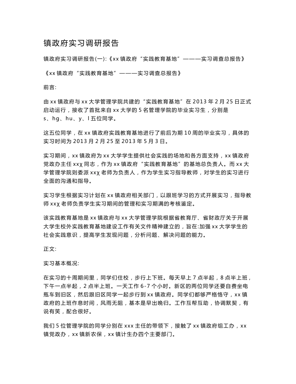 镇政府实习调研报告_第1页