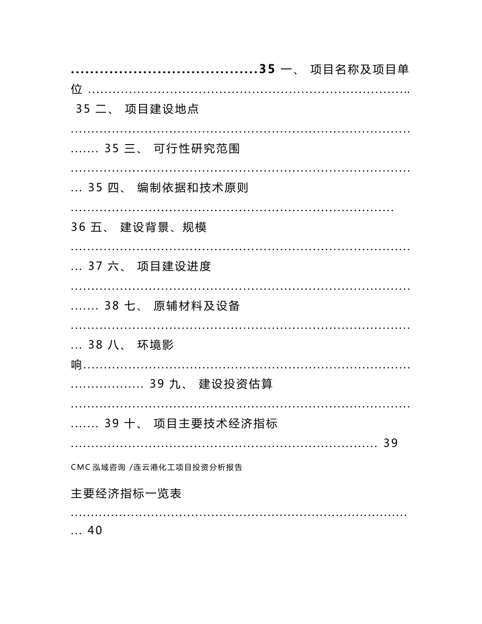 连云港化工项目投资分析报告范文模板_第2页