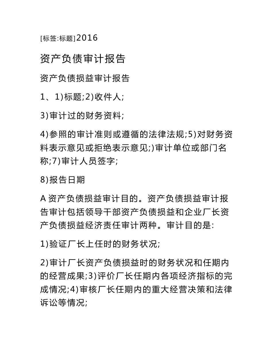 资产负债审计报告_第1页