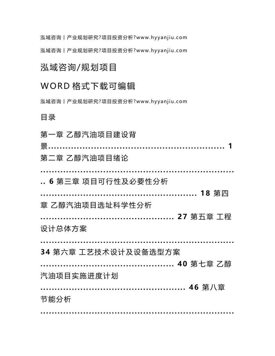 乙醇汽油项目可行性研究报告_第1页