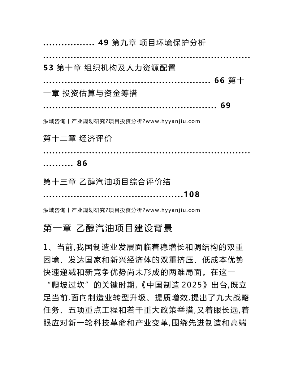 乙醇汽油项目可行性研究报告_第2页
