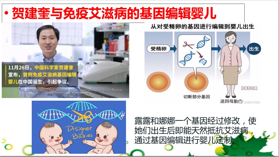 科技探索之路-基础理论和技术的发展催生了基因工程_第2页