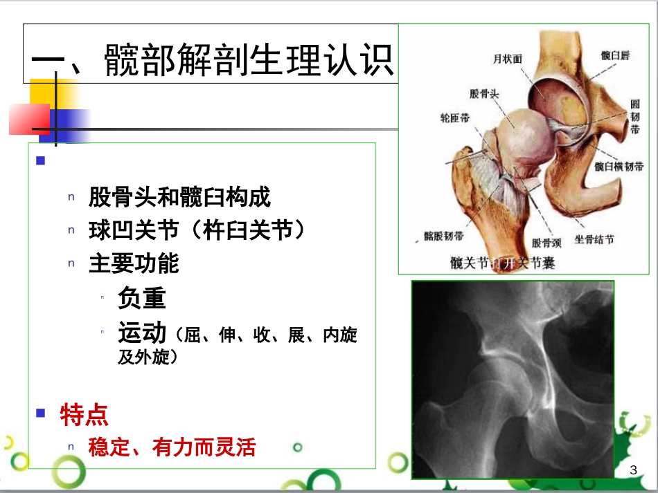 髋关节置换术后的健康宣教[共35页]_第3页