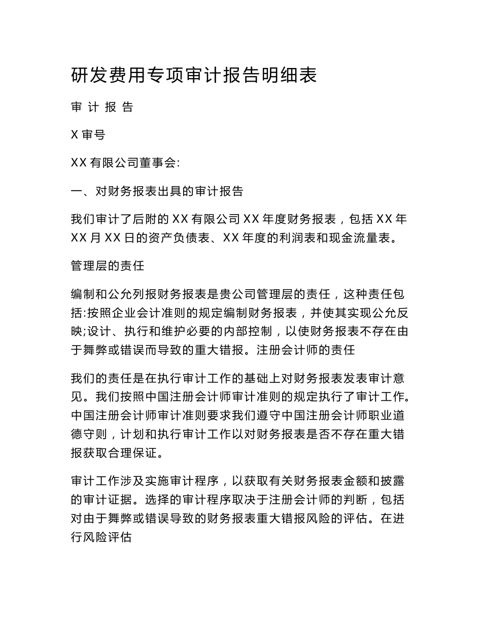 研发费用专项审计报告明细表_第1页