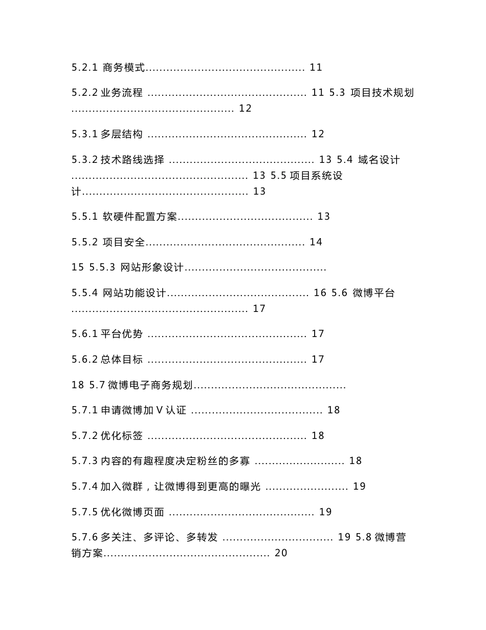 新媒体运营策划书_第2页