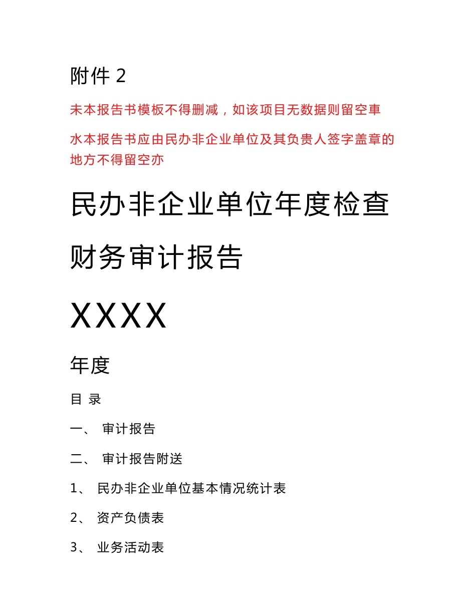 民办非企业单位年度审计报告模版_第1页