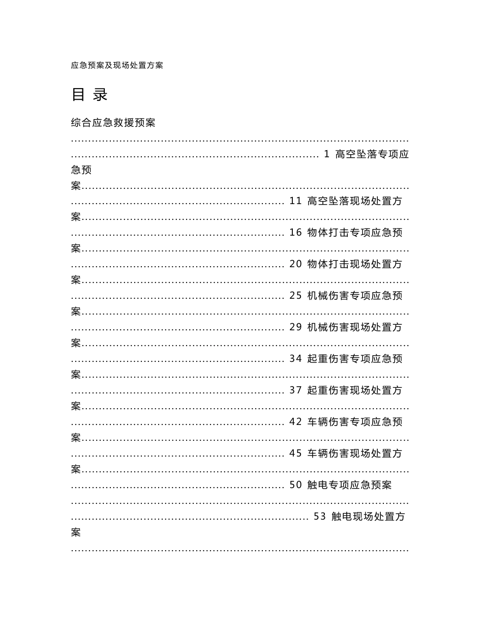 项目施工公司应急预案及现场处置方案_第1页