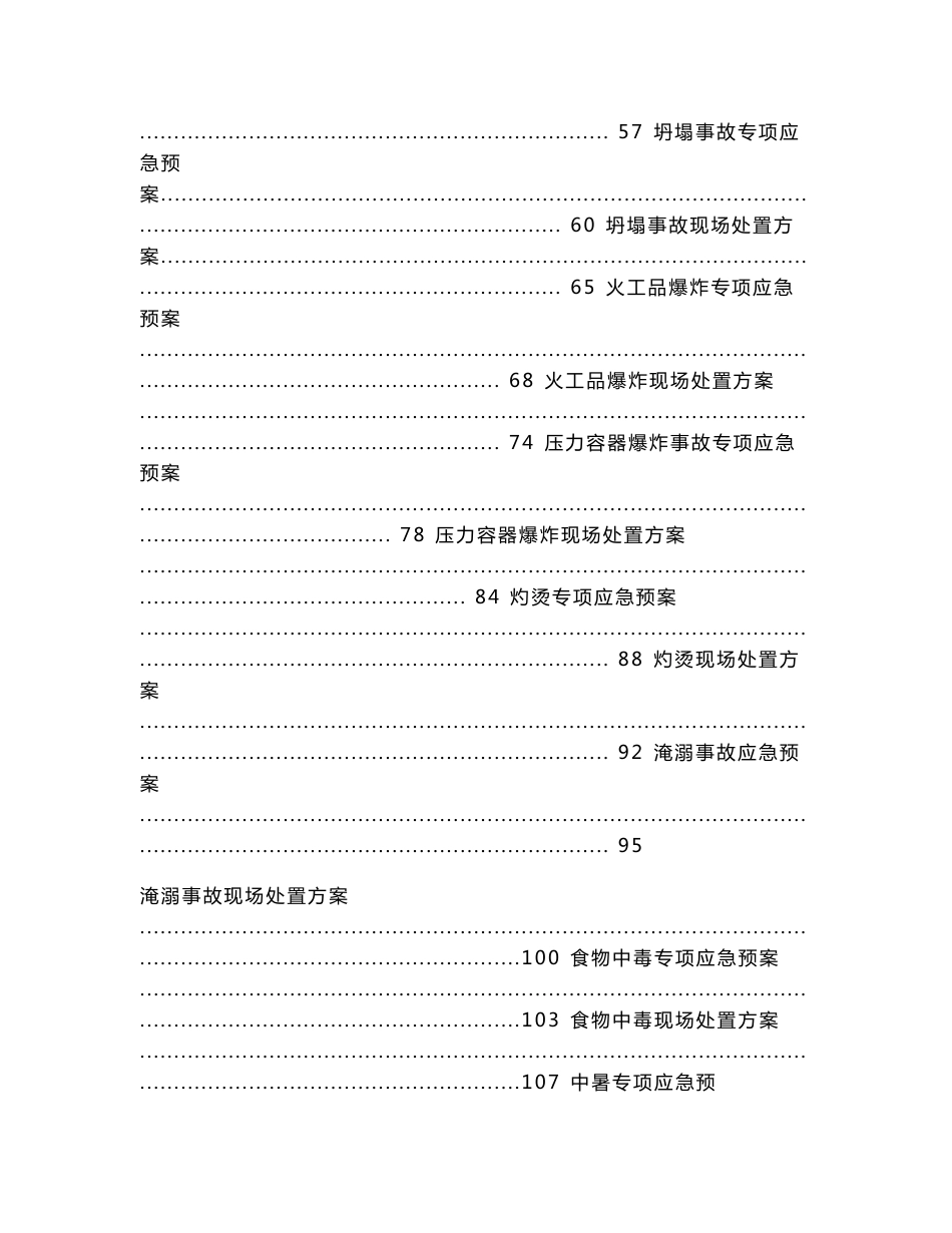 项目施工公司应急预案及现场处置方案_第2页