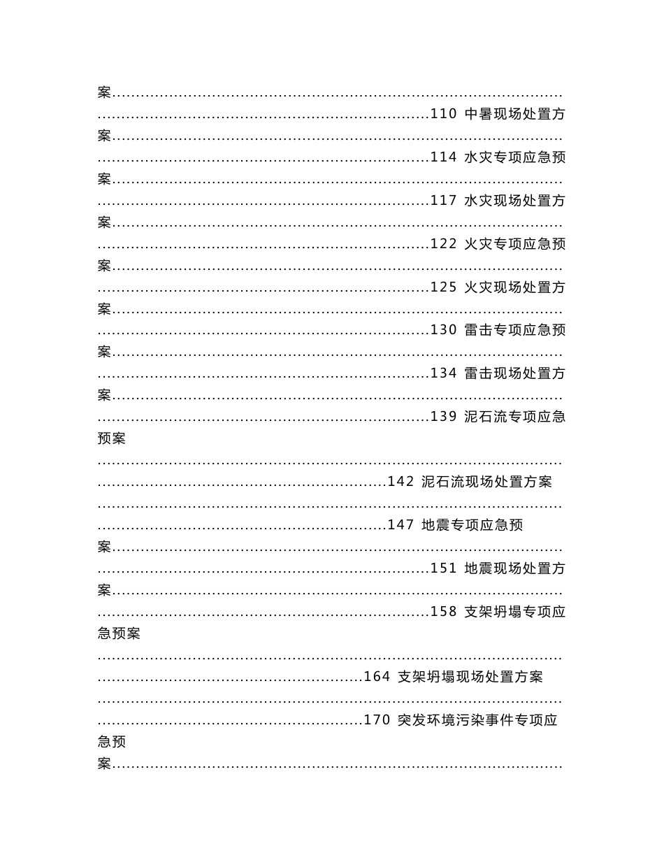 项目施工公司应急预案及现场处置方案_第3页